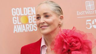 Sharon Stone'a ahlaksız teklif... Kendisini cinsel ilişkiye zorlayan isimleri ifşa etti 