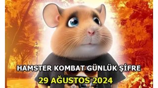 HAMSTER KOMBAT GÜNLÜK ŞİFRE 29 AĞUSTOS 2024 | Hamster Kombat kombo kartları ve yeni günlük şifresi belli oldu mu? Hamster Kombat nedir, nasıl kullanılır?